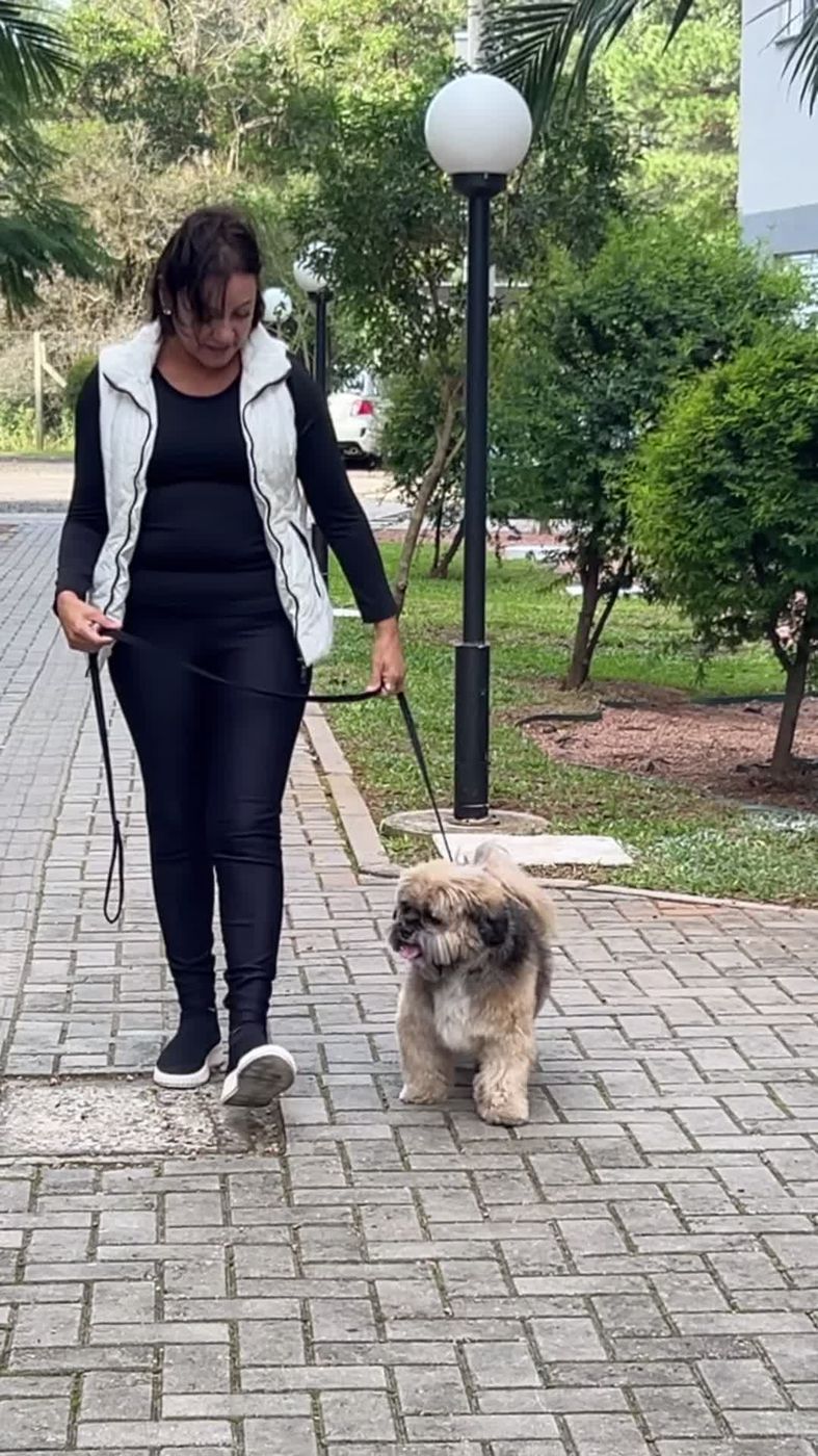 Responsável passeando com cão na guia frouxa após adestramento